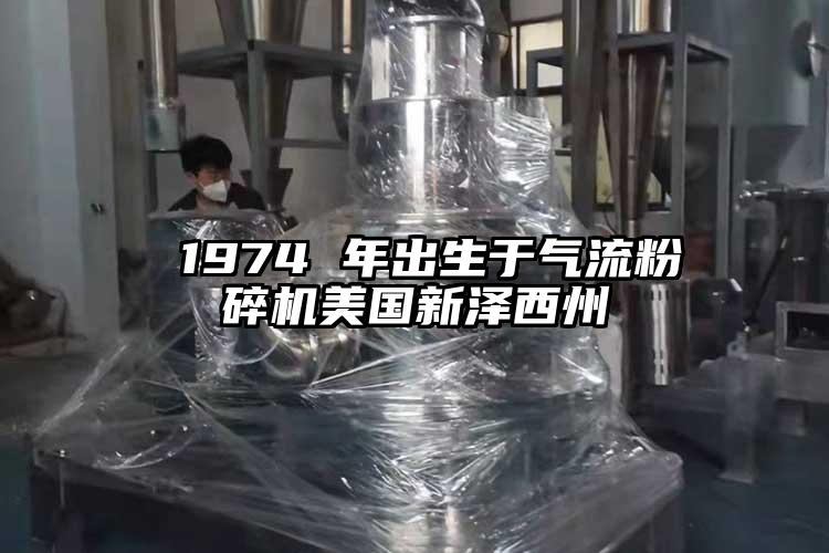  1974 年出生于91香蕉视频污版下载美国新泽西州