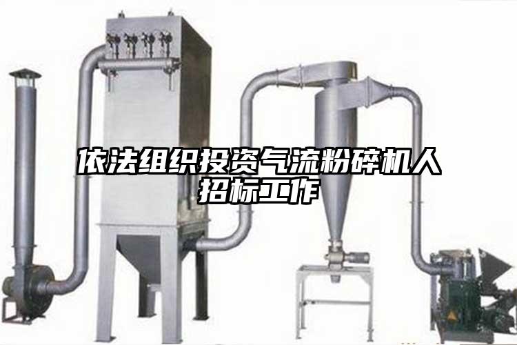 依法组织投资91香蕉视频污版下载人招标工作