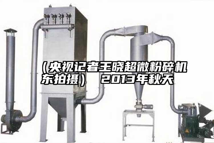 （央视记者王晓91香蕉在线视频东拍摄） 2013年秋天