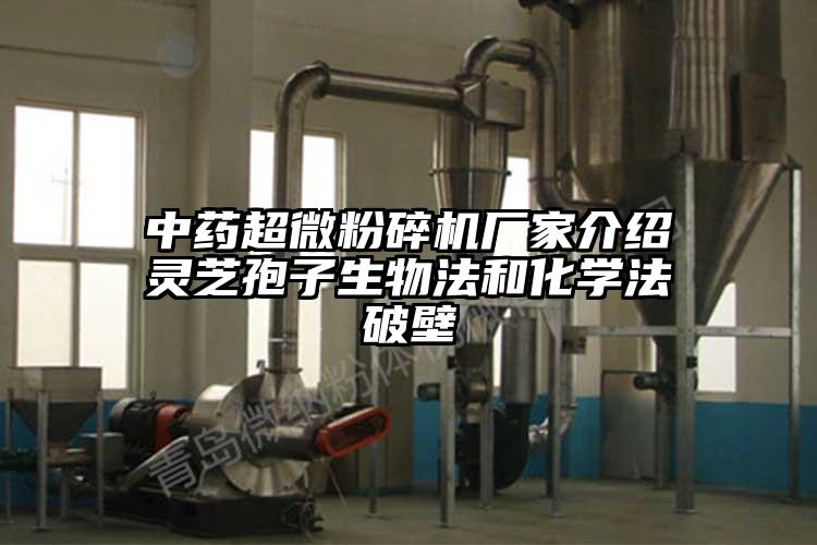 中药91香蕉在线视频厂家介绍灵芝孢子生物法和化学法破壁