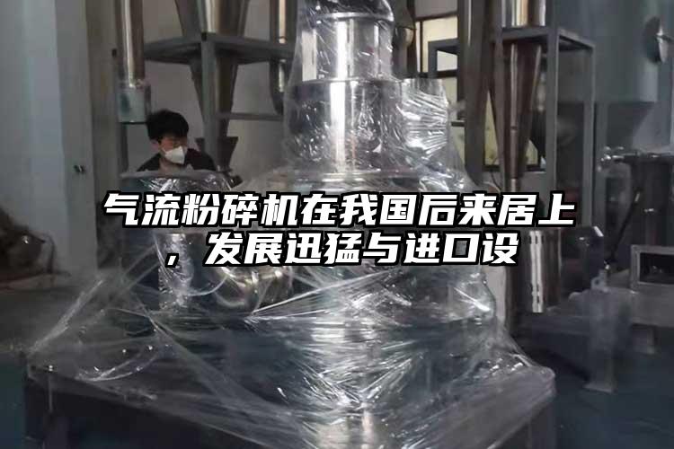 91香蕉视频污版下载在我国后来居上，发展迅猛与进口设